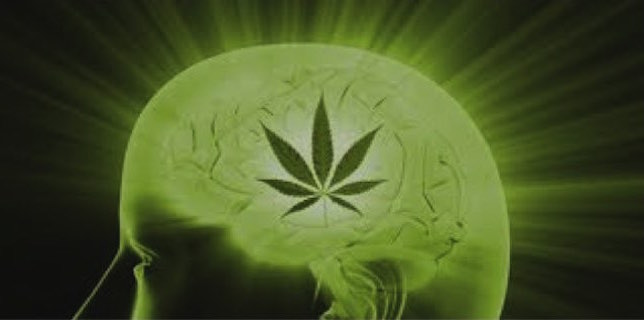marihuana-alzheimer-medycyna-usa-8356564278