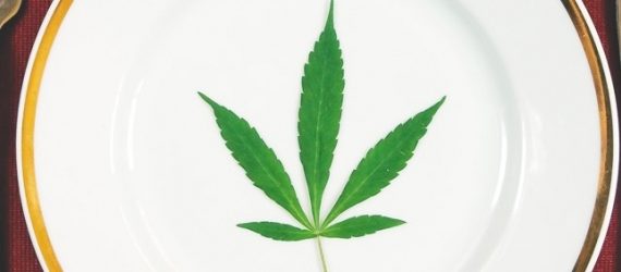 Apetyt jedzenie marihuana medyczna marihuana