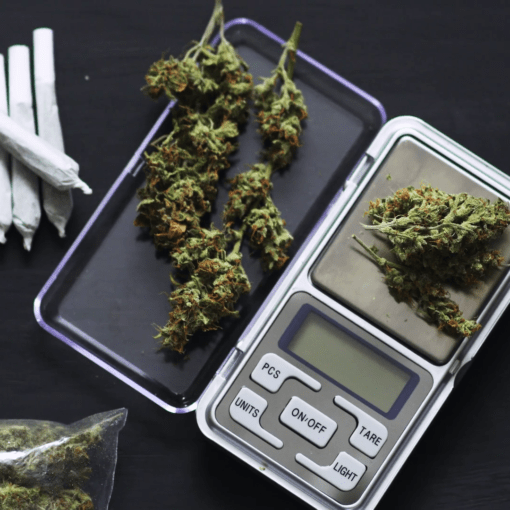 Wazenie marihuany waga do marihuany