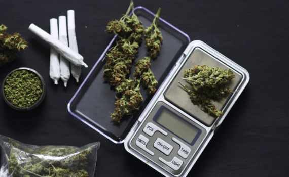 Wazenie marihuany waga do marihuany