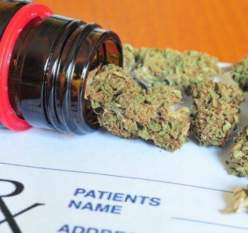 Legalizacja marihuany medyczna marihuana medyczne odmiany marihuany