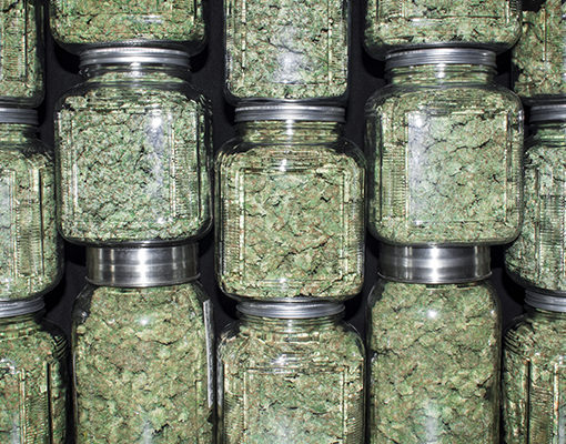 A zakrycie zapachu marihuany 546