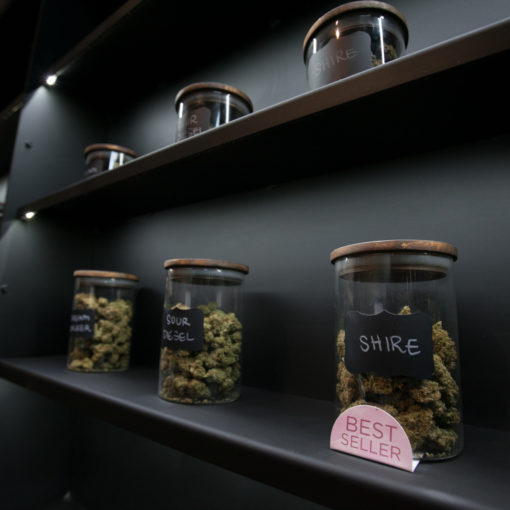 A olejek cannabis zmniejsza cierpienie badania 431