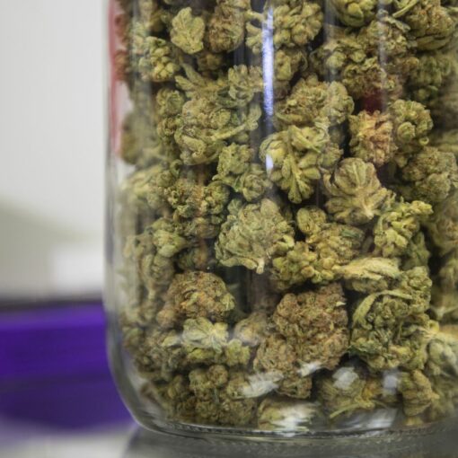 Cbd rzucanie palenia