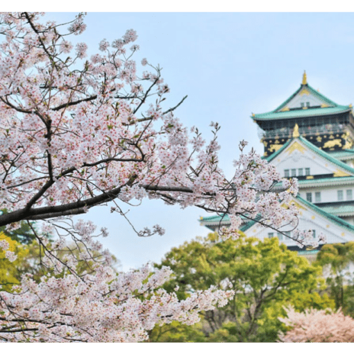 Cbd tyraci skutecznosc z czasem 4