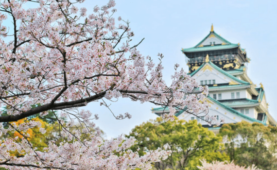 Cbd tyraci skutecznosc z czasem 4