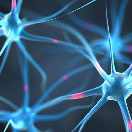 Neuroprotekcyjny cbd