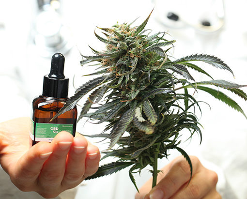 Olej u pacjentow z fibromialgia 3