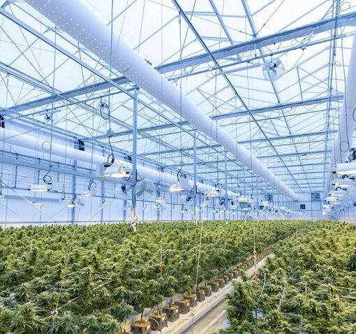 Skuteczna profilaktyka