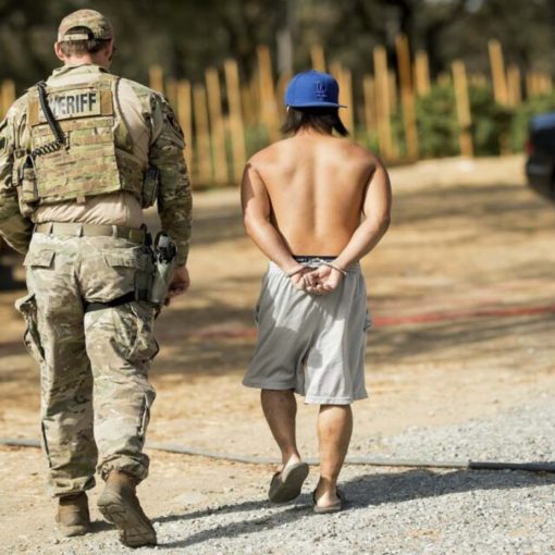 Zapasy broni i marihuany w miejscu pracy 3